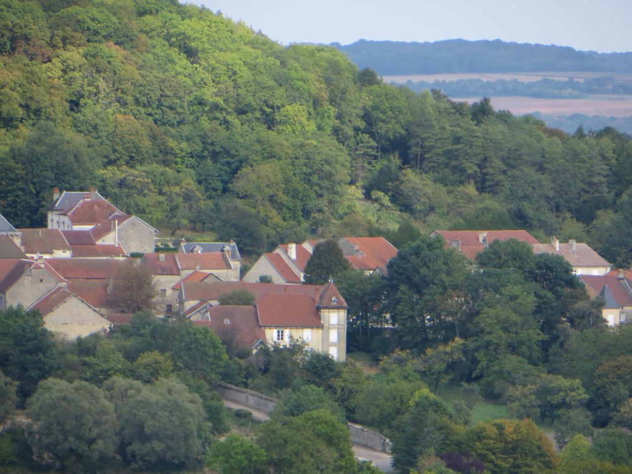 Le Bailli De Montsaugeon Exterior foto